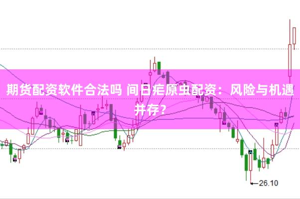 期货配资软件合法吗 间日疟原虫配资：风险与机遇并存？