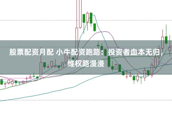 股票配资月配 小牛配资跑路：投资者血本无归，维权路漫漫