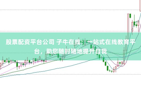 股票配资平台公司 子牛在线：一站式在线教育平台，助您随时随地提升自我