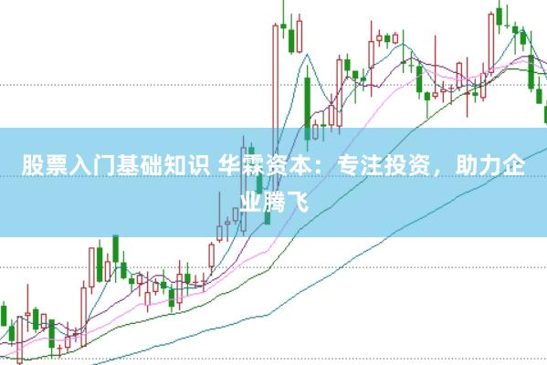 股票入门基础知识 华霖资本：专注投资，助力企业腾飞