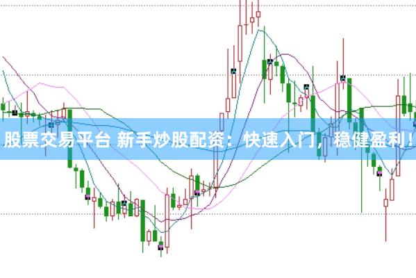 股票交易平台 新手炒股配资：快速入门，稳健盈利！