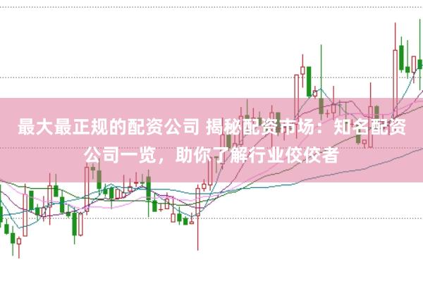 最大最正规的配资公司 揭秘配资市场：知名配资公司一览，助你了解行业佼佼者