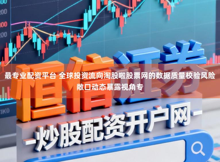 最专业配资平台 全球投资流向淘股啦股票网的数据质量校验风险敞口动态暴露视角专