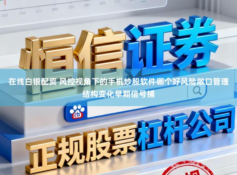 在线白银配资 风控视角下的手机炒股软件哪个好风险敞口管理结构变化早期信号捕