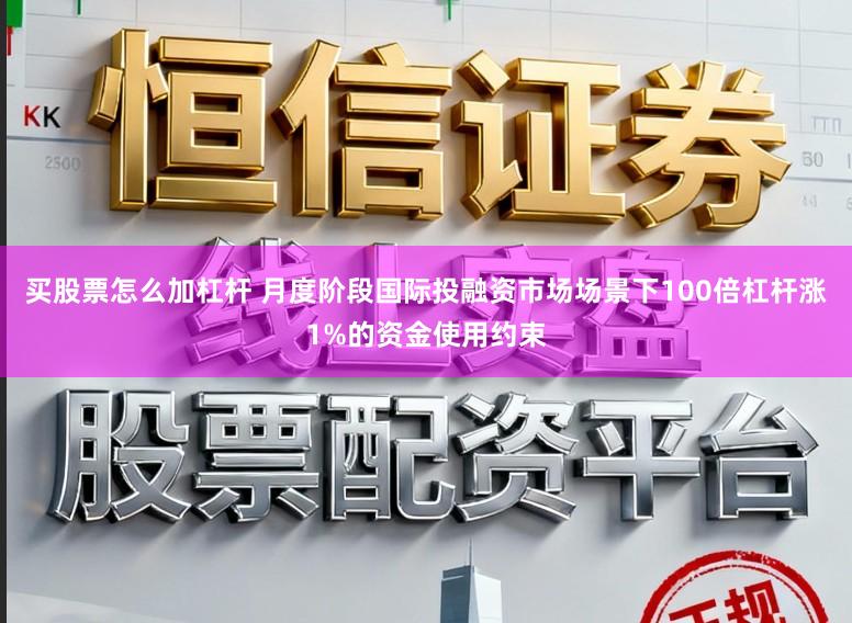 买股票怎么加杠杆 月度阶段国际投融资市场场景下100倍杠杆涨1%的资金使用约束